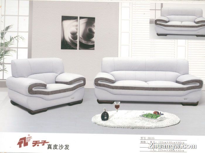 天子沙發家具圖片(九) 匠心工藝，盡顯客廳典雅風范